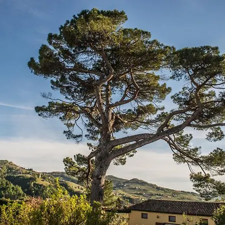 Tenuta Fagnanetto *