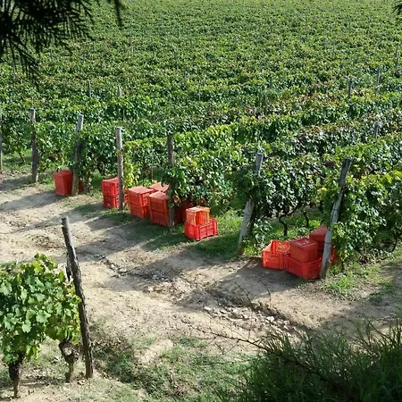 Tenuta Fagnanetto Alojamento de Turismo Rural *