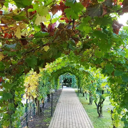 Tenuta Fagnanetto