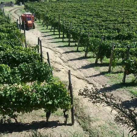 Alojamento de Turismo Rural Tenuta Fagnanetto *