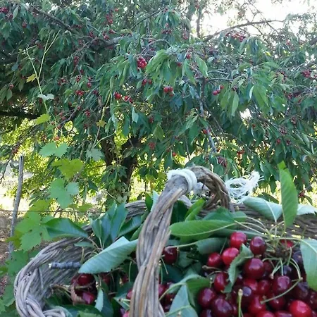 Alloggio per agriturismo Tenuta Fagnanetto