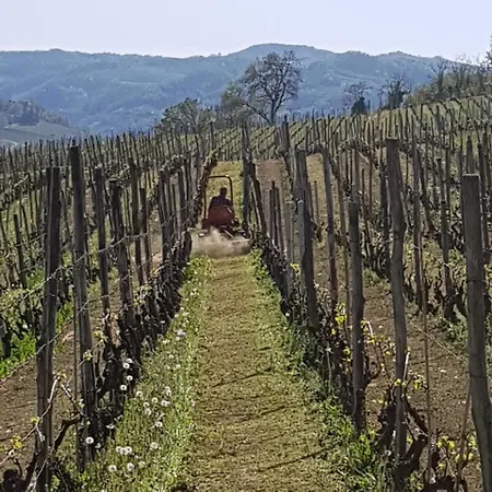 Tenuta Fagnanetto Alloggio per agriturismo *