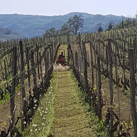 Tenuta Fagnanetto Alojamento de Turismo Rural *